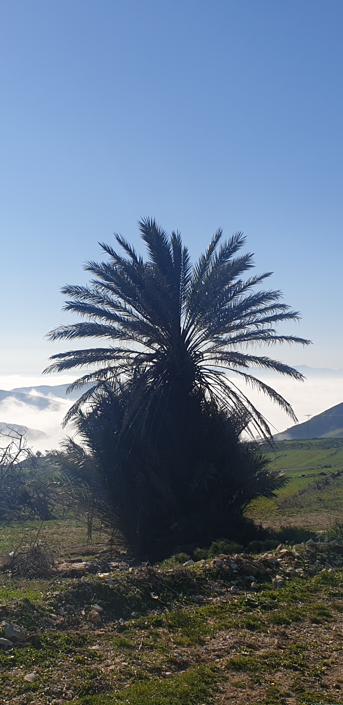 Tunisie